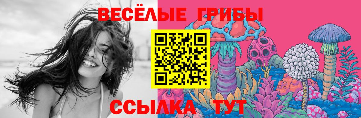 Псилоцибиновые грибы MAGIC MUSHROOMS  Вход с VPN  Воркута 